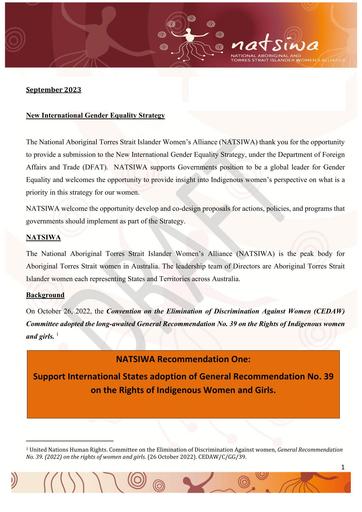 NATSIWA Submission New International Gender Equality Strategy DRAFT